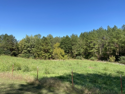 Country Home For Sale In Tn, 2 New Shops & Outbuildings - image 5