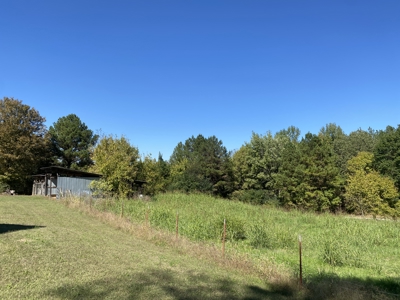 Country Home For Sale In Tn, 2 New Shops & Outbuildings - image 25