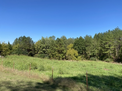 Country Home For Sale In Tn, 2 New Shops & Outbuildings - image 26