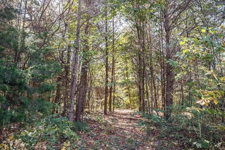 Hilltop Log Cabin Retreat Online Auction - image 12