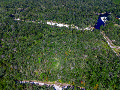 11 acre river-front tract with hunting potential Live Oak Florida - image 11