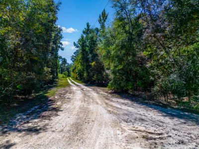 11 acre river-front tract with hunting potential Live Oak Florida - image 13