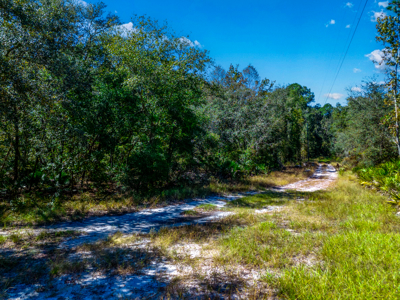 11 acre river-front tract with hunting potential Live Oak Florida - image 12