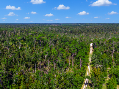 11 acre river-front tract with hunting potential Live Oak Florida - image 10