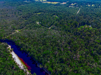 11 acre river-front tract with hunting potential Live Oak Florida - image 3