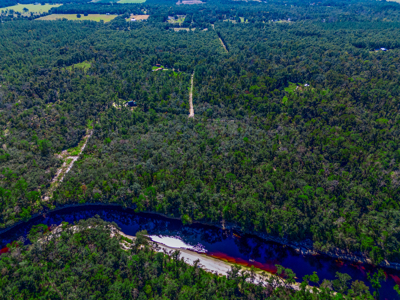 11 acre river-front tract with hunting potential Live Oak Florida - image 2