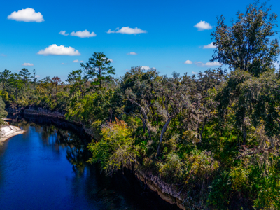 11 acre river-front tract with hunting potential Live Oak Florida - image 6