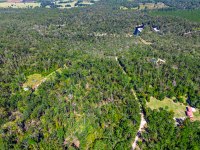 11 acre river-front tract with hunting potential Live Oak Florida - image 9