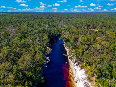 11 acre river-front tract with hunting potential Live Oak Florida - image 5