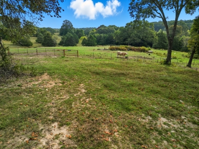 New Build 3 Bed 2 Bath Home on Acreage in Wasola, MO Ozark County - image 27