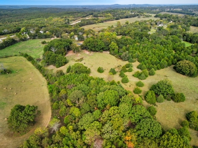 New Build 3 Bed 2 Bath Home on Acreage in Wasola, MO Ozark County - image 22