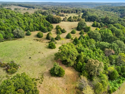 New 3BR/2BA Home on 1 Acre in Wasola, Missouri Ozark County - image 24