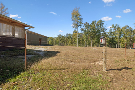 Custom-Built Homestead on Unrestricted Acreage in Fentress County - image 36