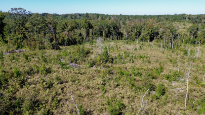 Listing 192
