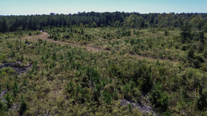 Listing 192