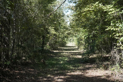 Listing 192