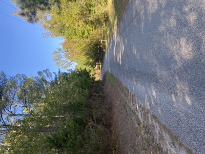 Land For Sale In Mcnairy County Tn - image 1