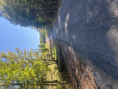 Land For Sale In Mcnairy County Tn - image 4