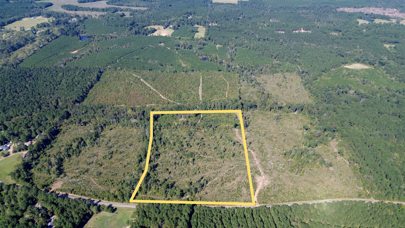 Listing 195