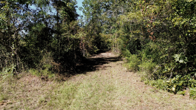Listing 195