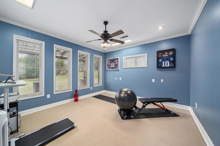 Luxury 4BR Ripley Home with Custom Kitchen & Game Room - image 46
