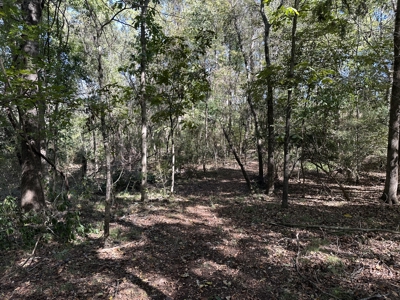 East Texas Recreational Land For Sale - image 16