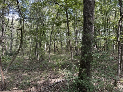 East Texas Recreational Land For Sale - image 6