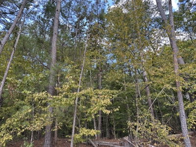East Texas Recreational Land For Sale - image 10