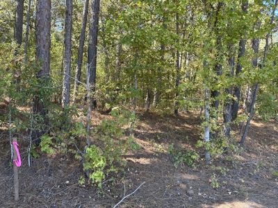 East Texas Recreational Land For Sale - image 12
