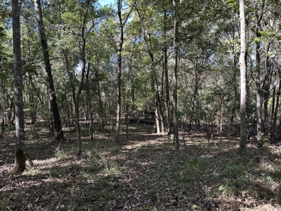 East Texas Recreational Land For Sale - image 18