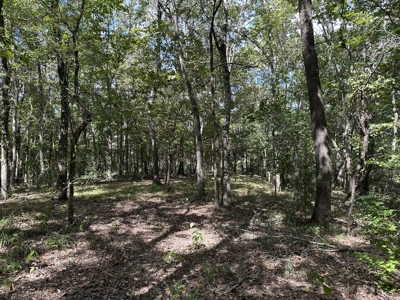 East Texas Recreational Land For Sale - image 7