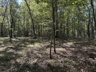 East Texas Recreational Land For Sale - image 17