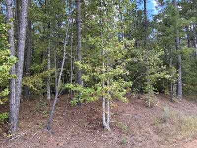 East Texas Recreational Land For Sale - image 8