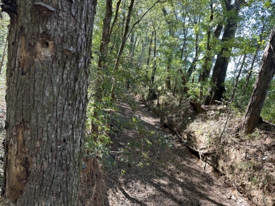 East Texas Recreational Land For Sale - image 20