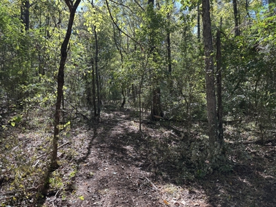 East Texas Recreational Land For Sale - image 15