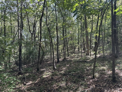 East Texas Recreational Land For Sale - image 3
