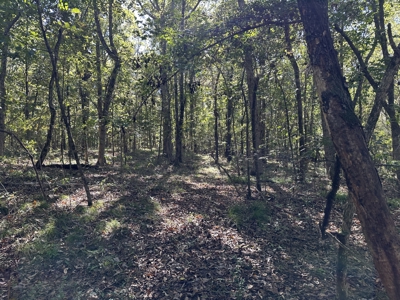 East Texas Recreational Land For Sale - image 19