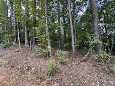 East Texas Recreational Land For Sale - image 11