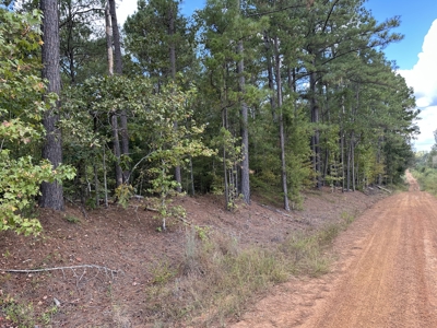 East Texas Recreational Land For Sale - image 9