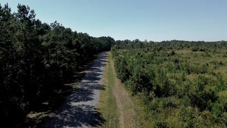 Affordable Lincoln Parish Land for Sale - Tract 4 - image 18