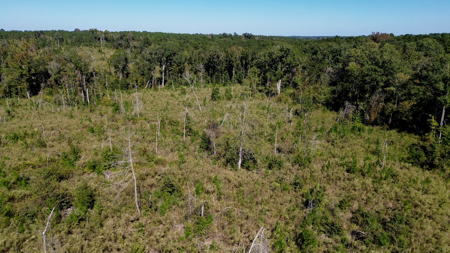 Affordable Lincoln Parish Land for Sale - Tract 4 - image 10