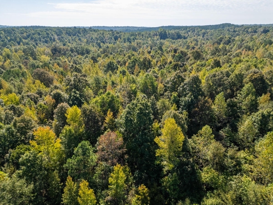 650 Acres Timberland and Lake Site Calhoun County MS