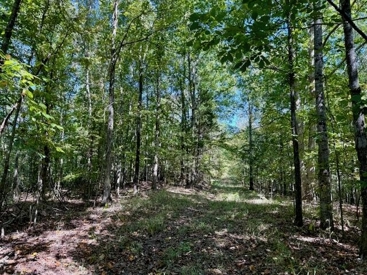 Listing 24