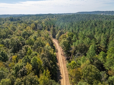 Listing 24