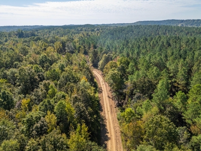 650 Acres Timberland and Lake Site Calhoun County MS - image 10