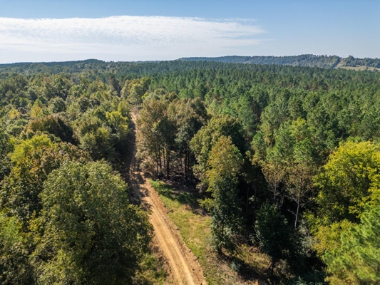 650 Acres Timberland and Lake Site Calhoun County MS