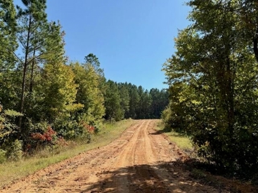 Listing 24