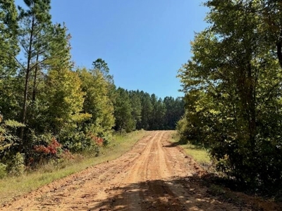 650 Acres Timberland and Lake Site Calhoun County MS - image 6