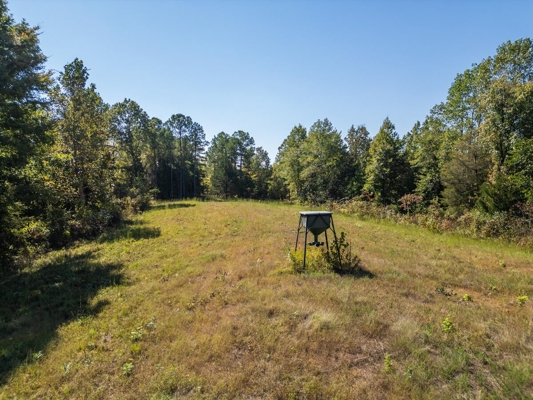 650 Acres Timberland and Lake Site Calhoun County MS