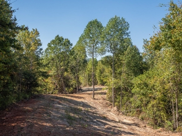 Listing 24